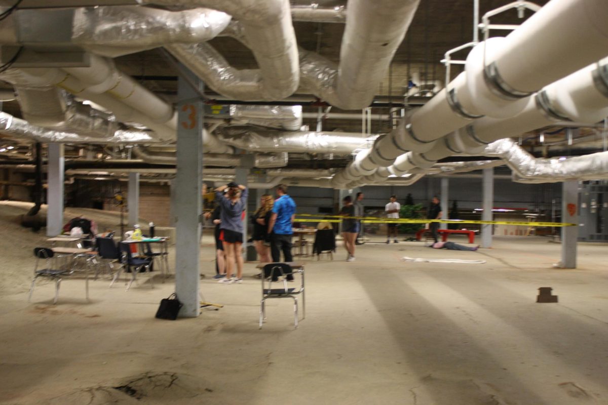 Crime in the Basement