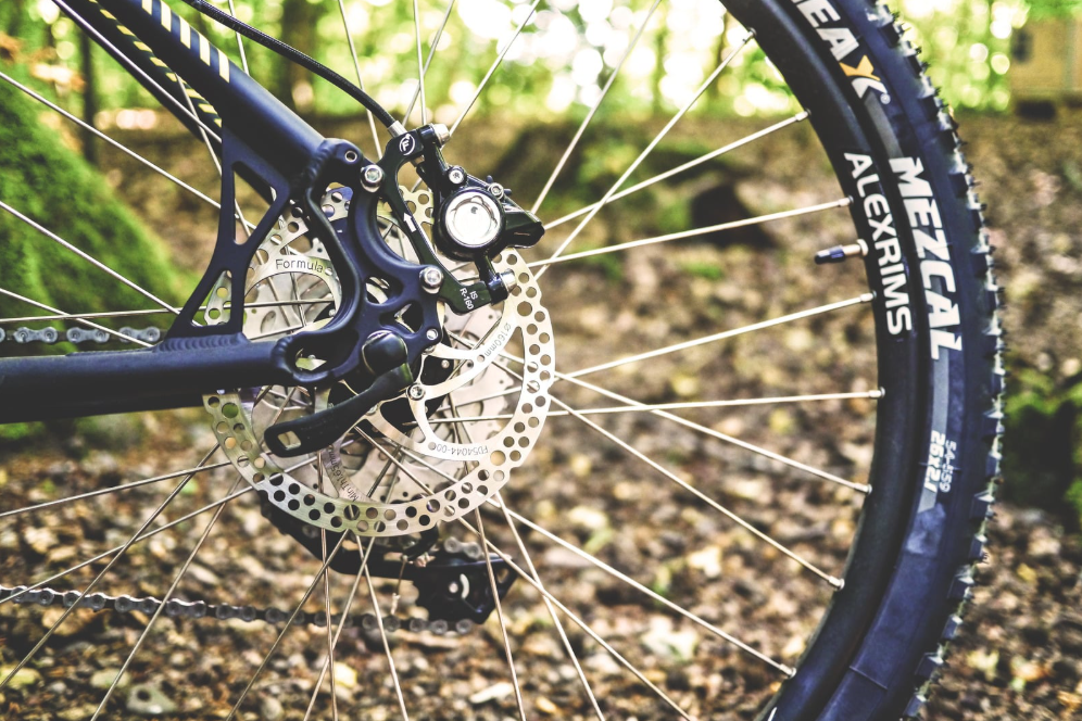 A Slice of the Trail